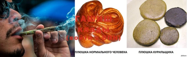гашик Новозыбков