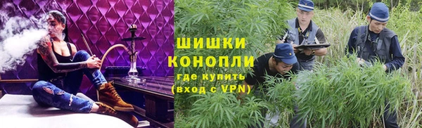 амф Аркадак