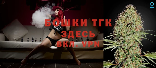гашик Новозыбков