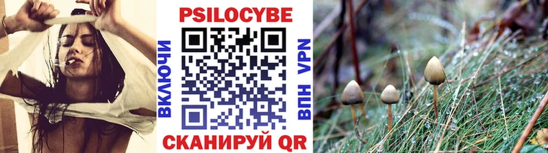 купить наркотик  Углич  Галлюциногенные грибы ЛСД 